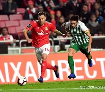 爱游戏官网-葡超葡萄牙体育是里斯本竞技吗